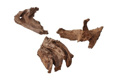 Produktbild von Aqua Della Aquariumdekoration Jati Größe M