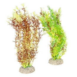 Produktbild von Aqua Della Aquariumpflanze Dichtblättrige Wasserpest - 1 Stk.