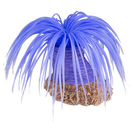 Produktbild von Aqua Della Plastikpflanze Anemone Cerianthus violett