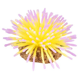 Produktbild von Aqua Della Plastikpflanze Anemone gelb