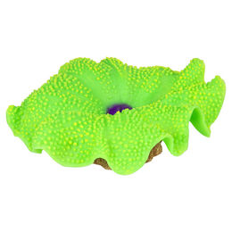 Produktbild von Aqua Della Plastikpflanze Anemone Teppich grün