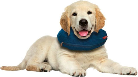 AQUA NOVA Schutzkragen Aufblasbarer Schutzkragen Halskrause für Hunde Katzen Leck Wundschutz, Aufblasbar, Komfortkragen, Leck- & Wundschutz, Verstellbar – Bild 1 von 4