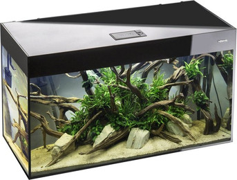Produktbild von Aquael Aquarienset Glossy Cube 50 Day&Night - schwarz