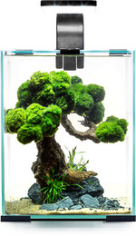 Produktbild von Aquael Shrimp Set Day & Night 10 - schwarz