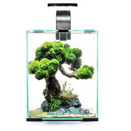 Produktbild von Aquael Shrimp Set Day & Night 20 schwarz - 20 l