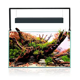 Produktbild von Aquael UltraScape 60 forest Aquarium - 1 Stk