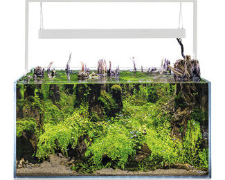 Aquael UltraScape 90 snow Aquarium - 1 Stk – Bild 1 von 4