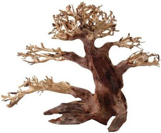 Produktbild von AquaOne Aquarium Bonsai Baum M Nr.1021 Wurzel Holz Aquarium Deko