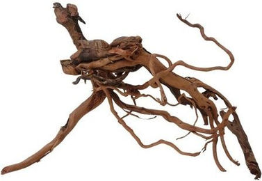 Produktbild von AquaOne Aquarium Drachenwurzel L Echtholz Deko