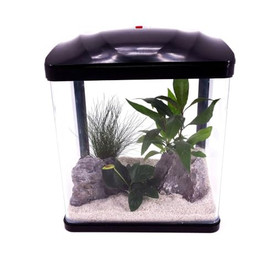 Produktbild von AquaOne Aquarium Komplettset LED mit Pumpe HR-230 schwarz - 7 l