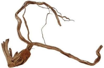 Produktbild von AquaOne Aquarium L Drachenwurzel Echtholz Deko