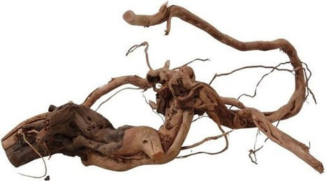 Produktbild von AquaOne Aquarium L Drachenwurzel Holz Deko