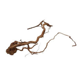 AquaOne Aquarium L Drachenwurzel Holz Deko – Bild 1 von 4