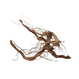 AquaOne Aquarium L Drachenwurzel Holz Deko – Bild 1 von 4