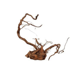 AquaOne Aquarium L Drachenwurzel Holz Deko – Bild 1 von 4