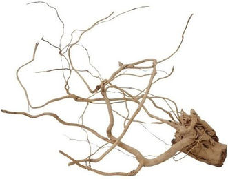 Produktbild von AquaOne Aquarium L Drachenwurzel Holz Deko