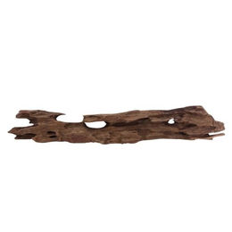 Aquaone Aquarium L Honey Comb Wurzel Nr.2030 Holz Deko Aquascaping – Bild 1 von 4