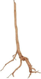 Produktbild von Aquaone Aquarium L Red Spider Wurzel Echtholz Deko