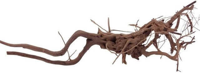 Produktbild von Aquaone Aquarium L Siennawurzel Nr.1262