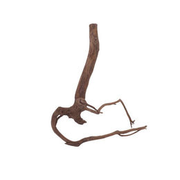 Produktbild von Aquaone Aquarium M Red Spider Wurzel Echtholz Deko