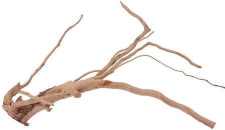 Produktbild von Aquaone Aquarium Moorkienwurzel L Nr.1451 Echtholz Deko