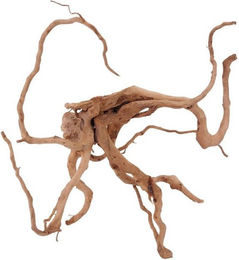 Produktbild von Aquaone Aquarium Moorkienwurzel L Nr.1479 Echtholz Deko