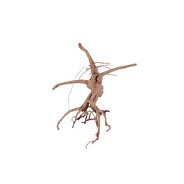 AquaOne Aquarium Siennawurzel M Nr.1382 – Bild 1 von 4