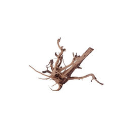 AquaOne Aquarium Siennawurzel M Nr.1383 – Bild 1 von 4