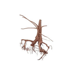 Aquaone Aquarium Siennawurzel Nr.1261 Größe L – Bild 1 von 4