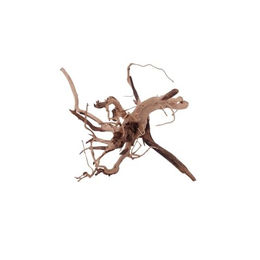 Aquaone Aquarium Siennawurzel Nr.1287 Größe L – Bild 1 von 4