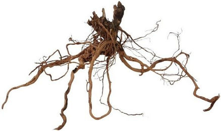 Produktbild von AquaOne Aquarium Wurzel Deko L Drachenwurzel Echtholz Nr.1100