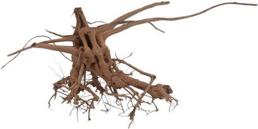 Produktbild von Aquaone Aquarium XL Siennawurzel Nr.5348