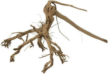 Produktbild von Aquaone Aquarium XL Siennawurzel Nr.7936