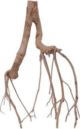 Produktbild von Aquaone Aquarium XL Talawa Wurzel Nr.1410