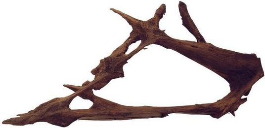 Produktbild von Aquaone Aquarium XXL Mangrovenwurzel Nr.5973 Holz Deko Aquascaping