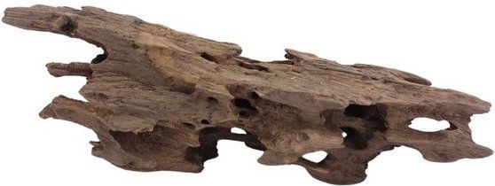Produktbild von Aquaone Honey Comb Wurzel Nr.1981 Holz Deko Aquascaping
