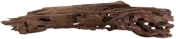 Produktbild von Aquaone L Honey Comb Wurzel Nr.2033 Holz Deko Aquascaping