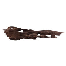 Aquaone L Honey Comb Wurzel Nr.2048 Holz Deko Aquascaping – Bild 1 von 4