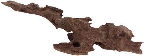 Produktbild von Aquaone L Honey Comb Wurzel Nr.2063 Holz Deko Aquascaping