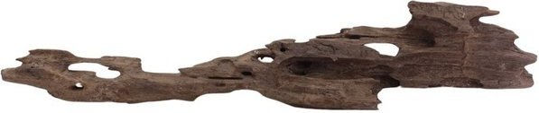 Produktbild von Aquaone L Honey Comb Wurzel Nr.2074 Holz Deko Aquascaping