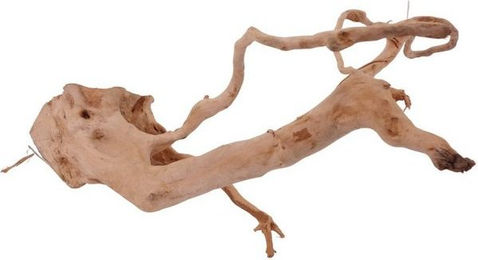 Produktbild von AquaOne L Moorkienwurzel Echtholz Aquarium Deko