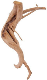 Produktbild von AquaOne L Moorkienwurzel Echtholz Aquarium Deko