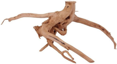 Produktbild von AquaOne L Moorkienwurzel Echtholz Aquarium Deko