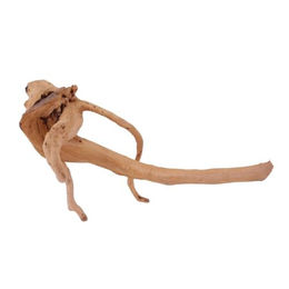 Produktbild von AquaOne L Moorkienwurzel Echtholz Aquarium Deko