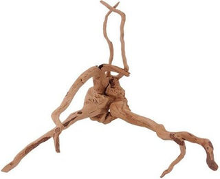 Produktbild von AquaOne L Moorkienwurzel Nr.1444 Echtholz Deko für Aquarium