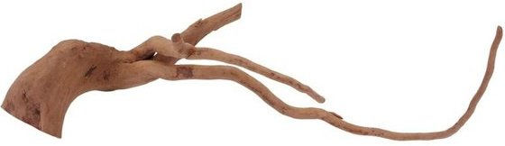 Produktbild von AquaOne L Moorkienwurzel Nr.1512 Echtholz Deko Aquascaping