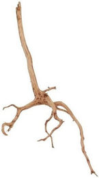 Produktbild von Aquaone L Red Spider Wurzel Echtholz Aquariumdeko