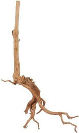 Produktbild von Aquaone L Red Spider Wurzel Echtholz Aquariumdeko