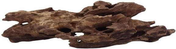 Produktbild von Aquaone M Honey Comb Wurzel Nr.2008 Holz Deko Aquascaping