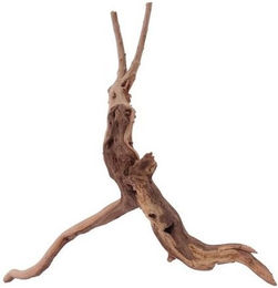 Produktbild von AquaOne M Moorkienwurzel Aquarium Holz Deko